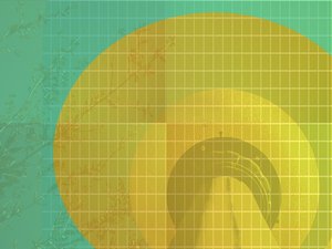 科学方法使用指南新手入门必读十条